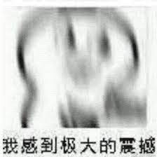 我感到极大的震撼(高糊小表情)_感到_极大_震撼_高糊表情- 发表情- fabiaoqing.com
